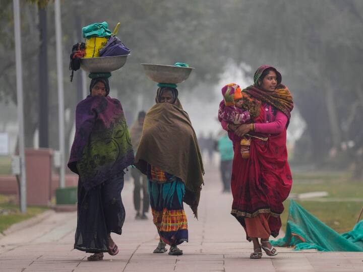 Chhattisgarh Weather Update Some respite from severe cold in know Chhattisgarh IMD forecast ANN Chhattisgarh Weather Update: छत्तीसगढ़ में कड़ाके की ठंड से थोड़ी राहत, मौसम विभाग ने जताई ये आशंका