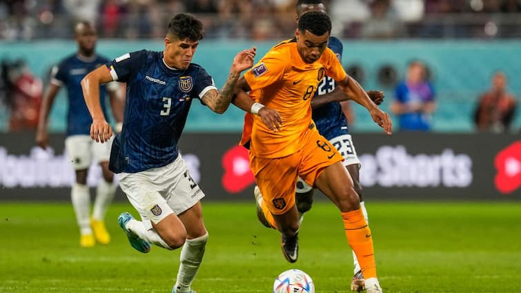 PSV agree Cody Gakpo deal for Record fee with Liverpool Cody Gakpo Transfer: বিশ্বকাপে নজরকাড়া নেদারল্যান্ডস তারকা যোগ দিচ্ছেন লিভারপুলে