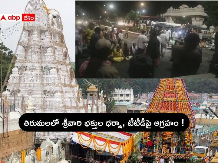 Tirumala News: Devotees Protest at Tirumala Tirupati Devasthanam Temple Tirumala News: తిరుమలలో శ్రీవారి భక్తుల ధర్నా, టీటీడీ అధికారులపై ఆగ్రహం - ఎందుకంటే !
