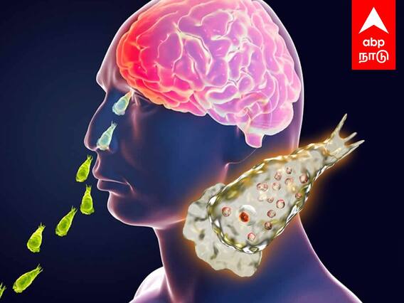 Naegleria Fowleri : மூளையை உண்ணும் அமீபா நோய்.. ஏரி, குளங்களில் காத்திருக்கும் ஆபத்து.