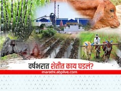 वर्ष सरलं पण शेतीत काय घडलं?