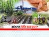 वर्ष सरलं पण शेतीत काय घडलं?