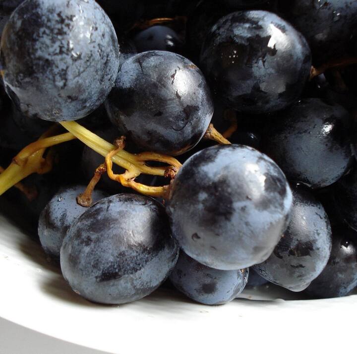 काळ्या द्राक्षांमध्ये व्हिटॅमिन सी, मॅग्नेशिअम, बीटा कॅरेटीन सारखे अॅंटि ऑक्सडंट भरपूर प्रमाणात असतात. त्यामुळे फ्री रेडिकल्समुळे होणारे शरीरातील पेशींचे नुकसान कमी होते आणि कर्करोगाला दूर ठेवता येते.