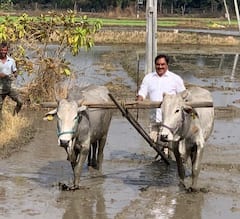 Minister Errabelli: గొర్రు చేతపట్టి పొలం రొప్పిన మంత్రి ఎర్రబెల్లి దయాకర్ రావు