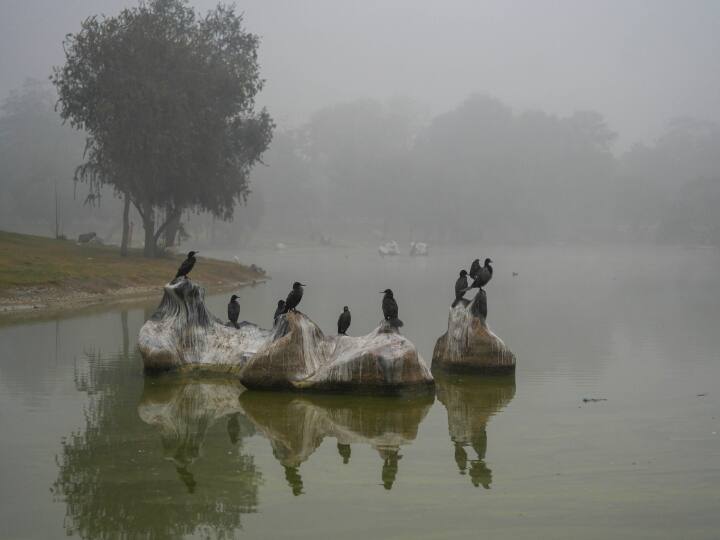 Delhi  Weather News IMD issues dense fog alert for these states for next 5 days Delhi Weather News: दिल्ली, हरियाणा और पंजाब में अगले पांच दिनों के लिए घने कोहरे का अलर्ट, जानें डिटेल