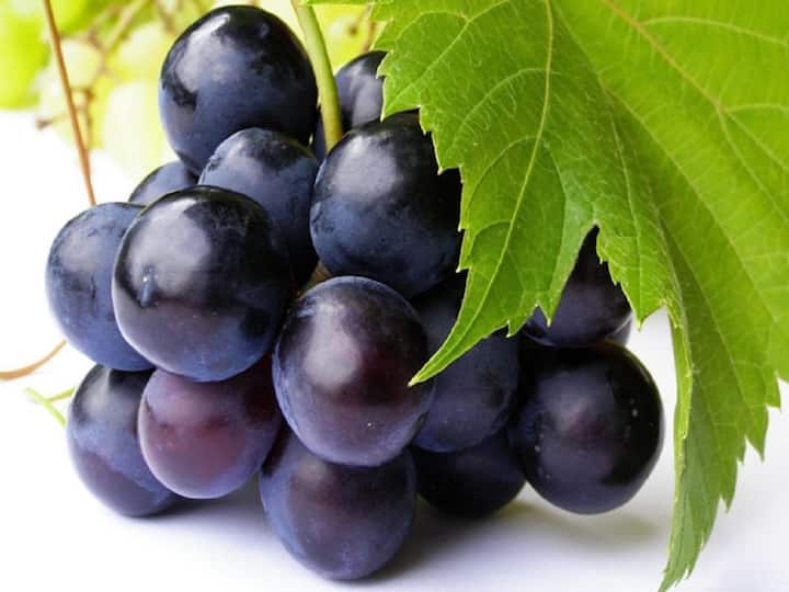 द्राक्षे आरोग्यासाठी चांगली असतात. द्राक्षांमध्ये पोषक तत्वे आहेत.