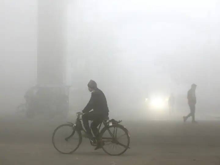 weather alert in punjab dense fog will struck punjab for next 5 days Weather Alert in Punjab: ਮੌਸਮ ਵਿਭਾਗ ਦਾ ਅਲਰਟ, ਪੰਜਾਬ 'ਚ ਅਗਲੇ ਪੰਜ ਦਿਨ ਵਰ੍ਹੇਗਾ ਧੁੰਦ ਤੇ ਠੰਢ ਦਾ ਕਹਿਰ