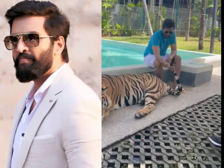 Tamil Actor Santhanam Seen Petting A Tiger And Holding Its Tail In Video, Faces Backlash Santhanam Viral video: పులి తోకతో ఆటలాడుతున్న హాస్య నటుడు - మండిపడుతోన్న నెటిజన్స్