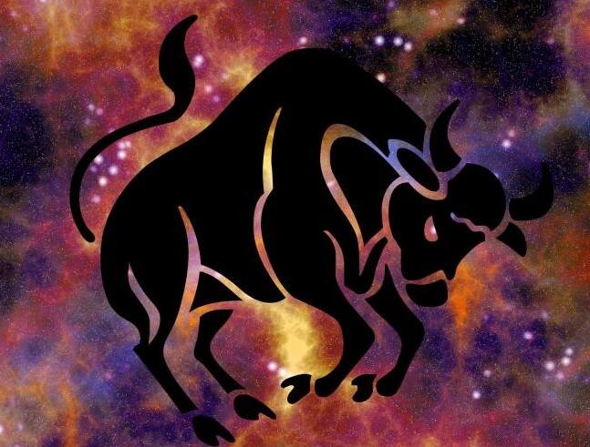 Taurus Yearly Horoscope 2023: Taurus natives can get benefits and success in the field of work in 2023 know the annual horoscope Taurus Yearly Horoscope 2023: વૃષભ રાશિના જાતકોને 2023માં કાર્યક્ષેત્રે મળી શકે છે લાભ અને સફળતા, જાણો વાર્ષિક રાશિફળ