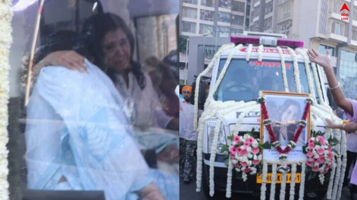 তিনি ফিতুর এবং বারবার দেখো-র মতো ছবিতে ক্যাটরিনার ছোটবেলার চরিত্র অভিনয় করেছিলেন। তাঁকে ইশক সুবহাল্লাহ, গায়েব,শের ই মহারাজা রঞ্জিত সিং-র মতো অনেক শোতে দেখা গিয়েছে। তিনি মাত্র ২০ বছর বয়েছে জনপ্রিয় মুখ হয়ে উঠেছিলেন।