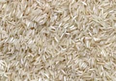 अमेरिका, ईरान, यमन समेत इन देशों में खूब पक रहा भारत का बासमती चावल, इतने लाख टन हुआ निर्यात 