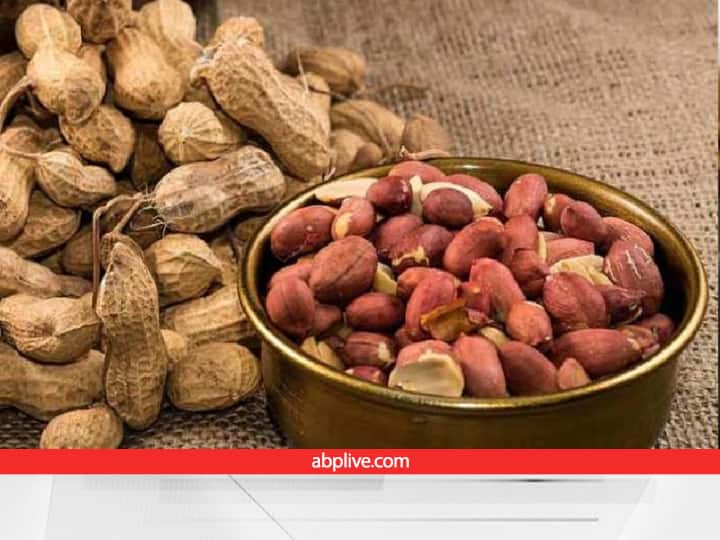 How to Improve Production of Peanut Crop or Scientific farming Technique to Improve Peanut Production Peanut Production: हर मूंगफली से 1 की जगह 4 दाने निकलेंगे, आज जान ही लीजिए प्रोडक्शन बढ़ाने की खास ट्रिक