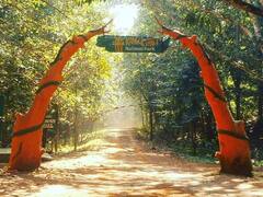 In Photos: छत्तीसगढ़ के 'पाताल लोक' में पाई जाती हैं अंधी मछलियां, देश-विदेश से यहां घूमने आते हैं पर्यटक, देखें तस्वीरें