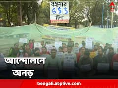 ঠান্ডার দোসর মশার কামড়, তবুও আন্দোলনে অনড় চাকরিপ্রার্থীরা