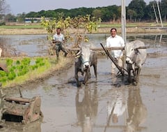 Minister Errabelli: గొర్రు చేతపట్టి పొలం రొప్పిన మంత్రి ఎర్రబెల్లి దయాకర్ రావు