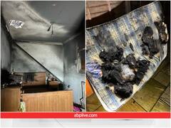 Shocking News: कुत्ते की एक गलती से हेयर ड्रायर हो गया ऑन, फिर घर में लग गई आग