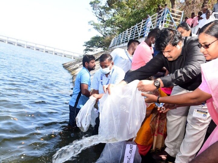 காவிரி ஆற்றில் விடப்பட்ட 1.40 லட்சம் மீன் குஞ்சுகள்