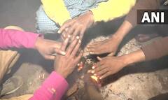 Weather Update: ઉત્તર ભારત ઠંડીમા ઠૂંઠવાયું, જુઓ આ તસવીરો