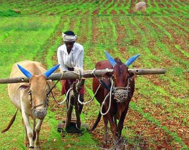 पंतप्रधान किसान सन्मान निधी योजनेचा 13 वा हप्ता नवीन वर्षात कधी मिळणार अशी चर्चा सुरु आहे. परंतू, नियमानुसार दर तीन ते चार महिन्यांनी, 2 हजार रुपयांचा हप्ता शेतकर्‍यांच्या खात्यावर वर्ग केला जातो.