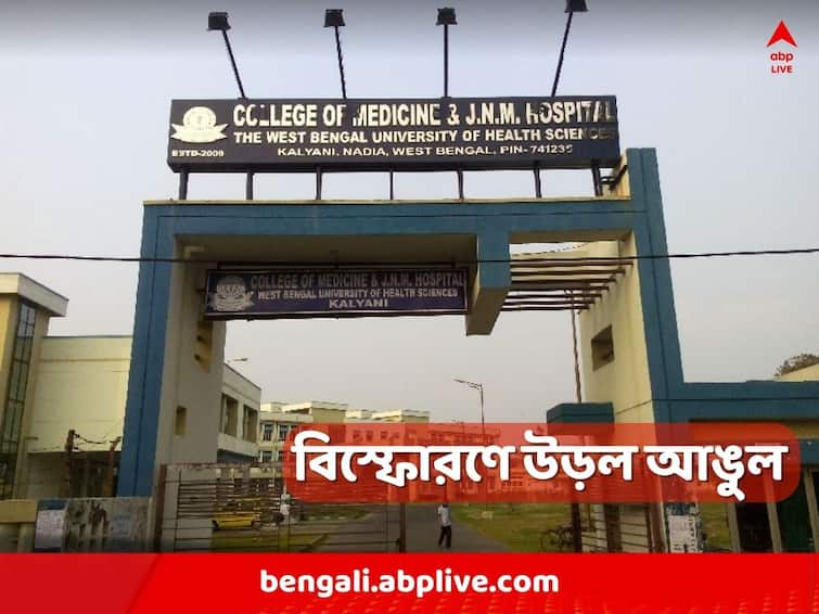 When pulling the bag from under the chicken cage, the bomb exploded 1 injured Nadia: মুরগির খাঁচার নীচ থেকে ব্যাগ টানতেই বোমা বিস্ফোরণ, আঙুল উড়ল গৃহস্থের