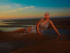 PHOTO: नोरा फतेहीने सिल्व्हर रिव्हीलिंग ड्रेसमध्ये फ्लॉन्ट केली कर्वी फिगर, पाहा फोटो!