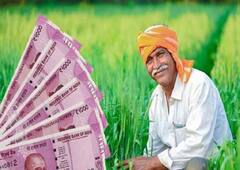 PM Kisan : कधी जमा होणार PM किसानचा 13 वा हप्ता?