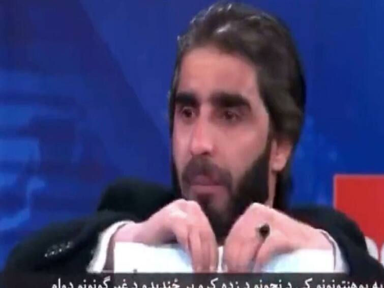 Afghan professor tears degree certificates live TV program Viral video Afghanistan women education social media taliban twitter Ismail Mashal 'If My Sister & My Mother...': Afghan Professor Tears Up Diplomas On Live TV. WATCH