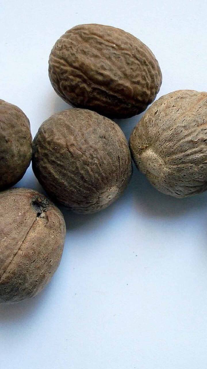 जायफळाचे सेवन केल्याने शरीरातील फायबरचे प्रमाण कायम राहते. यासोबतच आतड्याच्या स्नायूंमध्ये पेरिस्टाल्टिकचा वेगही वाढतो.