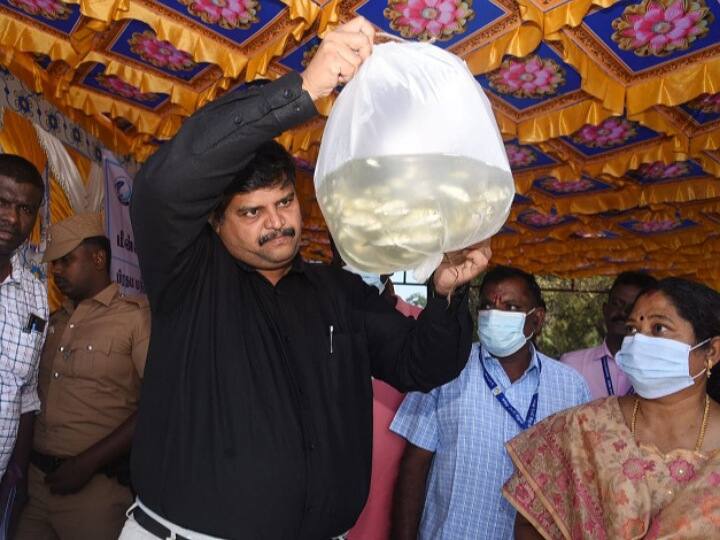 காவிரி ஆற்றில் விடப்பட்ட 1.40 லட்சம் மீன் குஞ்சுகள் District Collector released fish fry on behalf of Fishermen Welfare Department in Cauvery river TNN காவிரி ஆற்றில் விடப்பட்ட 1.40 லட்சம் மீன் குஞ்சுகள்