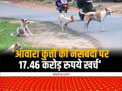 हरियाणा: आवारा कुत्तों की नसबंदी पर 8 साल में 17.46 करोड़ रुपये का खर्च, मंत्री ने दी जानकारी