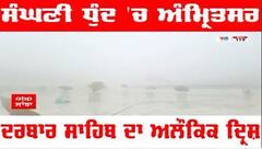 Sri Darbar Sahib : ਸੰਘਣੀ ਧੁੰਦ ਦੇ 'ਚ ਅੰਮ੍ਰਿਤਸਰ ਦਰਬਾਰ ਸਾਹਿਬ ਦਾ ਅਲੌਕਿਕ ਦ੍ਰਿਸ਼