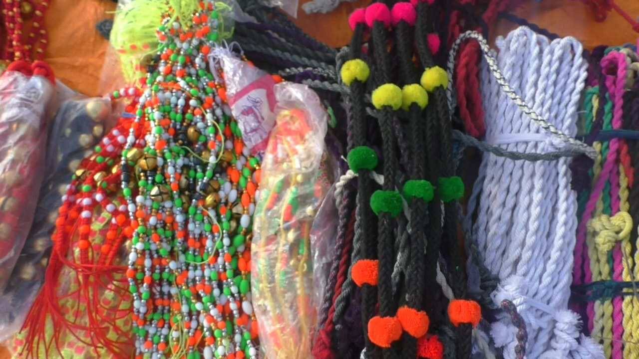 மேக்கப் எங்களுக்கும்தான்.. பொங்கலையொட்டி அதிரடி காட்டும் கால் நடைகளுக்கான அலங்கார பொருட்களின் விற்பனை..