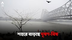 পড়শি রাজ্যে থেকে কলকাতায় ঢুকছে দূষিত বায়ু! দাবি সমীক্ষায়