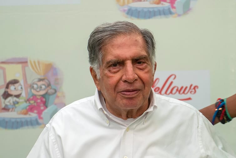 Ratan Tata refutes cryptocurrency investment rumours urged peoples to stay away from such fraudulent schemes Ratan Tata Cryptocurrency: क्रिप्टोकरन्सीमध्ये टाटांची गुंतवणूक? रतन टाटांनी स्पष्टचं सांगितलं...