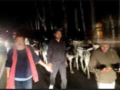 10,000 गायों को मुक्त कराने के बाद BJP सांसद ने सीएम पर बोला हमला, कहा - तरक्की नहीं, तस्करी करा रहे हैं हेमंत सोरेन 