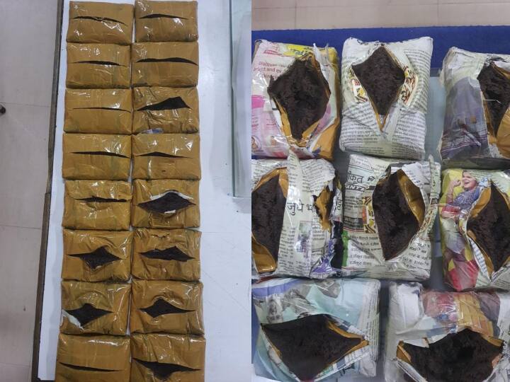 Maharashtra NCB seized four kg charas from Mumbai two arrested Maharashtra NCB: महाराष्ट्र में नए साल से पहले एनसीबी की बड़ी कार्रवाई, मुंबई से चार किलो चरस जब्त, दो गिरफ्तार