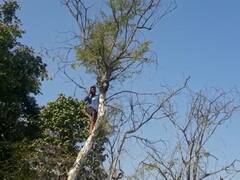 सोनभद्र के ये इलाके आज भी 2जी और 4जी नेटवर्क से हैं अछूते, लोग पेड़ पर चढ़कर फोन पर करते हैं बात