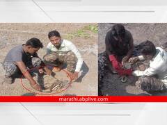 PHOTO: मच्छीमाराच्या जाळ्यात चक्क 20 साप अडकले