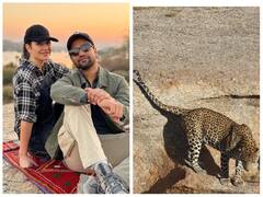 Vicky kaushal के साथ खास अंदाज में न्यू ईयर सेलिब्रेट करेंगी Katrina kaif, वेकेशन के खास पल किए शेयर