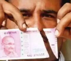 ਜੇ ਜੇਬ 'ਚ ਰੱਖਿਆ ਨੋਟ ਫਟ ਜਾਵੇ ਜਾਂ ਤੁਹਾਡੇ ਕੋਲ ਅੱਧਾ ਟੁਕੜਾ ਹੋਵੇ ਤਾਂ ਵੀ ਤੁਹਾਨੂੰ ਮਿਲਦੇ ਹਨ ਪੈਸੇ!