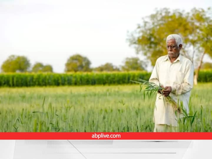 PM Kisan Yojana: कहीं जिंदा किसान को मरा घोषित किया, कहीं मृतक किसान के खाते में पहुंचाई किस्तें, वेरिफिकेशन में हुआ खुलासा PM Kisan Samman NIdhi Yojana Verification Found Dead Farmers Getting Benefits of 2000 installment PM Kisan Yojana: कहीं जिंदा किसान को मरा घोषित किया, कहीं मृतक किसान के खाते में पहुंचाई किस्तें, वेरिफिकेशन में हुआ खुलासा