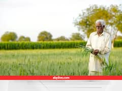 कहीं जिंदा किसान को मरा घोषित किया, कहीं मृतक किसान के खाते में पहुंचाई किस्तें, वेरिफिकेशन में हुआ खुलासा