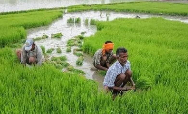 The government is likely to release the 13th instalment of the Pradhan Mantri Kisan Samman Nidhi PM Kisan Yojana: એક સપ્તાહમાં ખેડૂતોને મળી શકે છે ગિફ્ટ, ખાતામાં આવશે, પ્રધાનમંત્રી કિસાન સન્માન નિધિનો 13મો હપ્તો