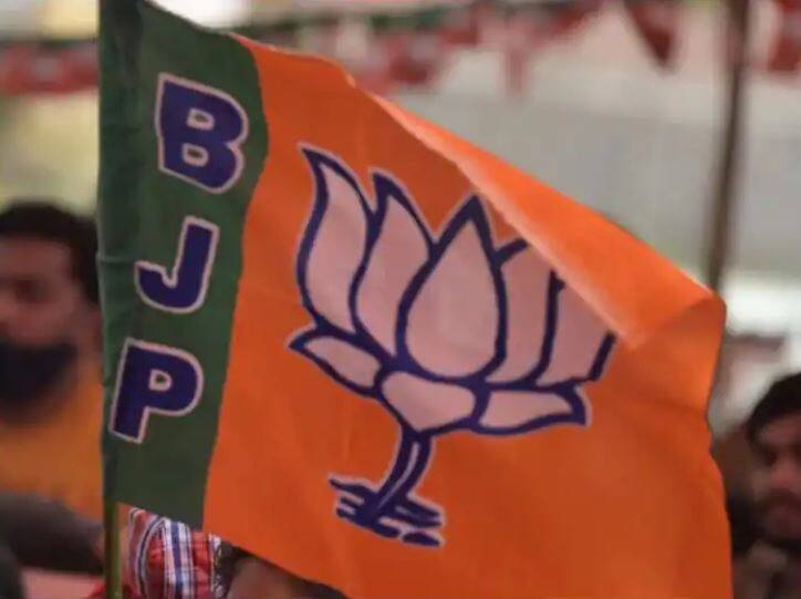 bjp gets highest amount of electoral donations over 351 crore in last year congress behind aap sp and trs adr report- Electoral Donations: ਭਾਜਪਾ ਨੂੰ 351 ਕਰੋੜ ਰੁਪਏ ਦਾ ਮਿਲਿਆ ਚੰਦ, ਸਪਾ ਅਤੇ 'ਆਪ' ਤੋਂ ਵੀ ਪਛੜੀ ਕਾਂਗਰਸ