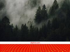 कोहरा ही कोहरा!...दिन चाहे जो भी हो, यहां साल भर मौसम यही रहता है