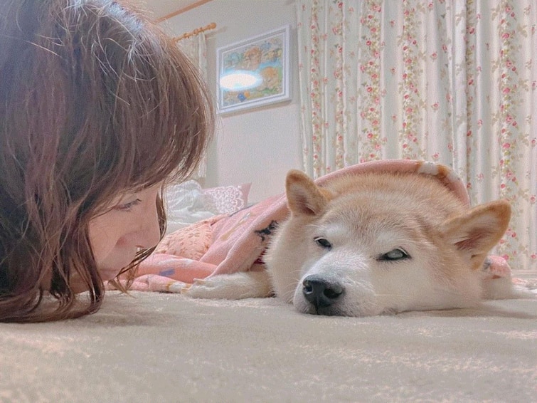 Dog That Inspired 'Doge' Meme Critically Ill, Netizens Pray For Speedy Recovery