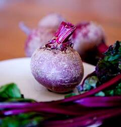 Photo : हिवाळ्यात बीट खाण्याचे फायदे काय?