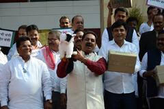 विधानसभेच्या पायऱ्यांवर विरोधकांचं आंदोलन, हातात खोके आणि बोक्यांची प्रतिमा घेऊन सरकारवर हल्लाबोल