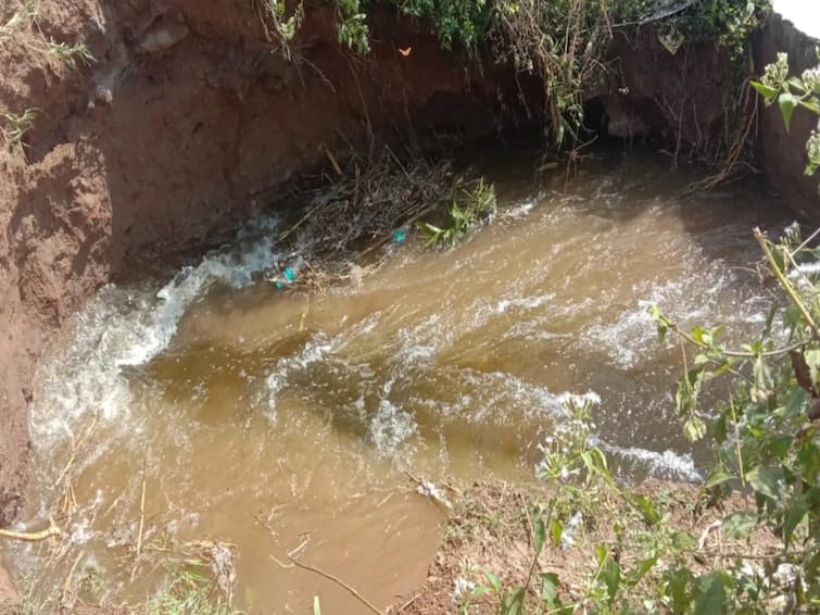 farmers are in agony as the second sluice of the lake has broken and 300 acres of agricultural land has been submerged காஞ்சிபுரம்: உடைந்த ஏரி நீரில் மூழ்கிய 300 ஏக்கர் விவசாய நிலம் - வேதனையில் விவசாயிகள்