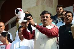 विधानसभेच्या पायऱ्यांवर विरोधकांचं आंदोलन, हातात खोके आणि बोक्यांची प्रतिमा घेऊन सरकारवर हल्लाबोल